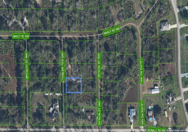 6th image of 104 Tobler Ter Nw, Lake Placid, FL 33852 | MLS# S5156124