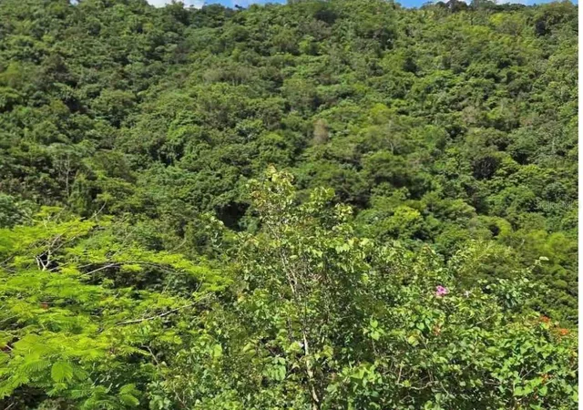 Photo 1 of Land for sale at Carr 15 Km 21, Cayey, PR 00736 | MLS# PR9123622 | Listing updated on 2026-09-11