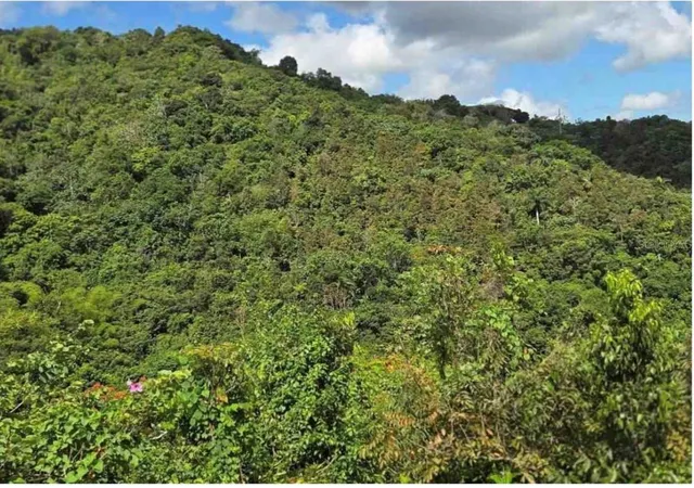 Photo 2 of Land for sale at Carr 15 Km 21, Cayey, PR 00736 | MLS# PR9123622 | Listing updated on 2026-09-11