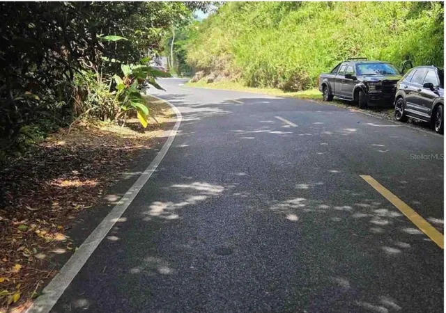 Photo 2 of Land for sale at Carr 15 Km 21, Cayey, PR 00736 | MLS# PR9123622 | Listing updated on 2026-09-11