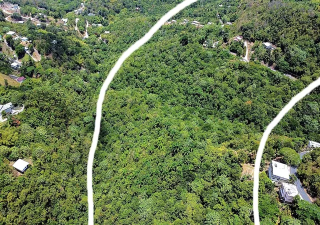 Photo 4 of Land for sale at Carr 15 Km 21, Cayey, PR 00736 | MLS# PR9123622 | Listing updated on 2026-09-11