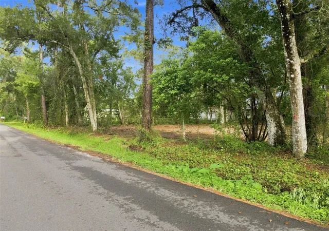 Photo 3 of Land for sale at 0 Nicholas Ave, Brooksville, FL 34604 | MLS# TB8541596 | Listing updated on 2026-08-24