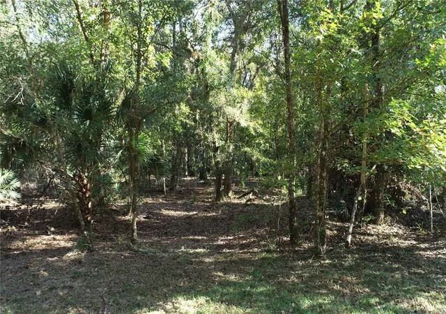 5th image of S County Road 13, Orlando, FL 32833 | MLS# O6435923