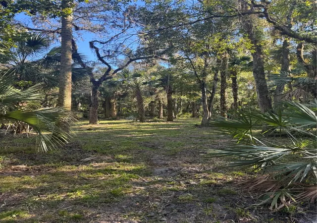 9th image of S County Road 13, Orlando, FL 32833 | MLS# O6435923