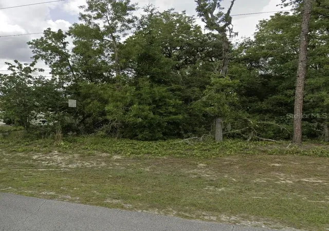 Photo 1 of Land for sale at Lot 4 Sw 155 Pl, Ocala, FL 34473 | MLS# O6435936 | Listing updated on 2026-08-24