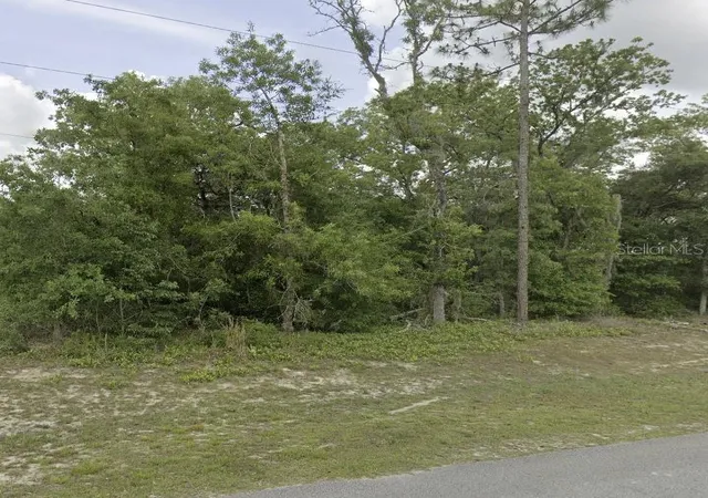 Photo 2 of Land for sale at Lot 4 Sw 155 Pl, Ocala, FL 34473 | MLS# O6435936 | Listing updated on 2026-08-24