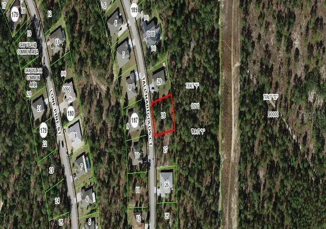 1st image of 20 Tall Marigolds, Homosassa, FL 34448 | MLS# TB8541664