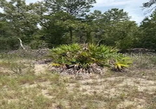 4th image of 20 Tall Marigolds, Homosassa, FL 34448 | MLS# TB8541664