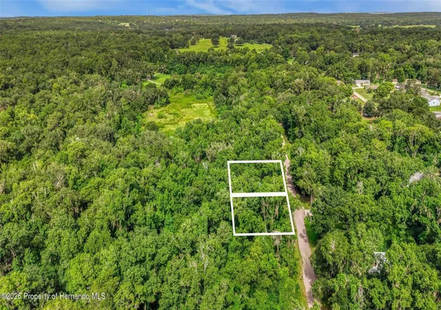 7th image of 23186 Fitzhugh Ave, Brooksville, FL 34601 | MLS# W7888846