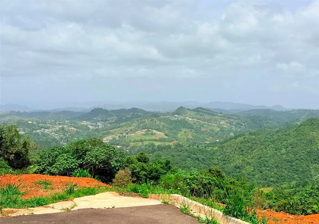 Photo 3 of Land for sale at Pr 770 Km 29 Parcela 3 Palo Hincado, Barranquitas, PR 00794 | MLS# PR9123632 | Listing updated on 2026-08-24