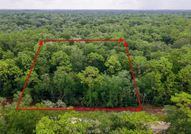 Photo 1 of Land for sale at 6342 Karwich Ave, Webster, FL 33597 | MLS# TB8541734 | Listing updated on 2026-08-26