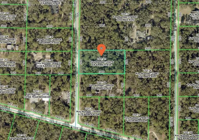 Photo 2 of Land for sale at 6342 Karwich Ave, Webster, FL 33597 | MLS# TB8541734 | Listing updated on 2026-08-26