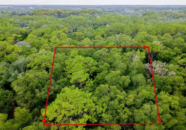 Photo 3 of Land for sale at 6342 Karwich Ave, Webster, FL 33597 | MLS# TB8541734 | Listing updated on 2026-08-26