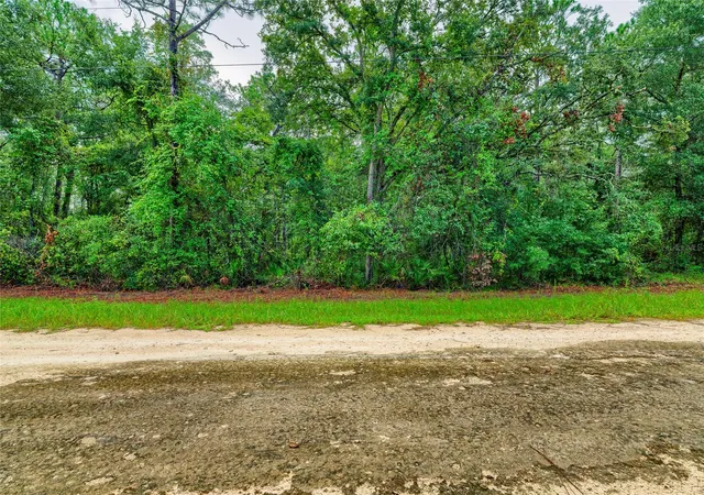 Photo 4 of Land for sale at 6342 Karwich Ave, Webster, FL 33597 | MLS# TB8541734 | Listing updated on 2026-08-26