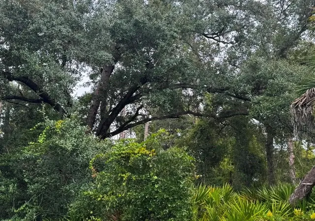 Photo 3 of Land for sale at 2312 Dodge St, Port Charlotte, FL 33948 | MLS# O6436007 | Listing updated on 2026-08-25