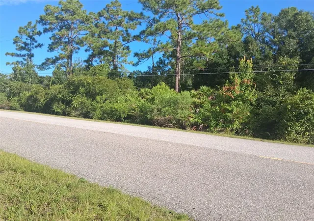 1st image of Starry St, Orlando, FL 32833 | MLS# G5116879