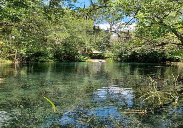 37th image of 19443 Sw 101st Pl Rd, Dunnellon, FL 34432 | MLS# OM730952