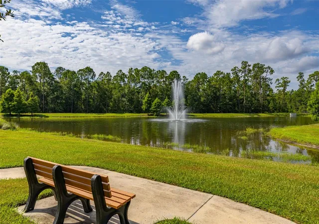 79th image of 8291 Procida Isle Ln, Windermere, FL 34786 | MLS# O6436040