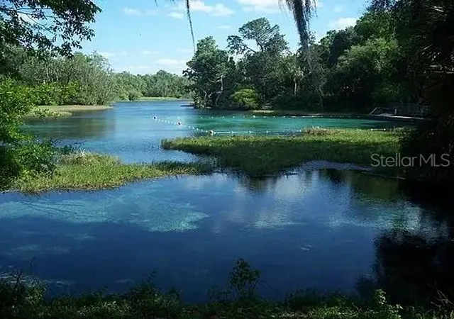 40th image of 8823 Sw 196th Avenue Road, Dunnellon, FL 34432 | MLS# GC542952