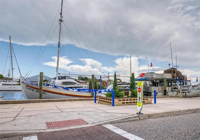 77th image of 704 Bayshore Dr, Tarpon Springs, FL 34689 | MLS# TB8541796