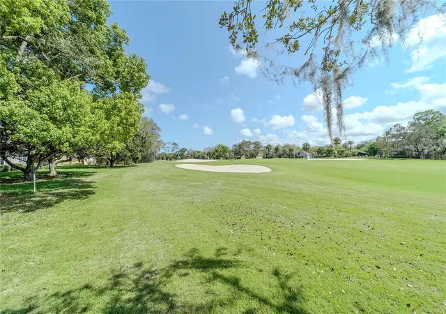 71st image of 550 Bottlebrush Ct, New Smyrna Beach, FL 32168 | MLS# NS1089078