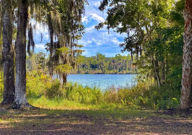 Photo 4 of Single family home for sale at 11352 Oyster Bay Cir, New Port Richey, FL 34654 | MLS# W7888855 | Listing updated on 2026-09-19