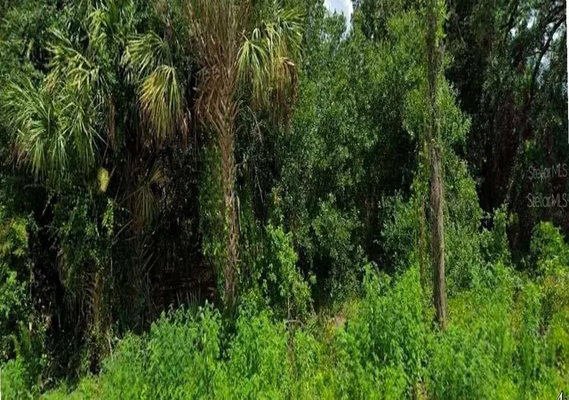2nd image of Jinright Rd, North Port, FL 34288 | MLS# O6436121