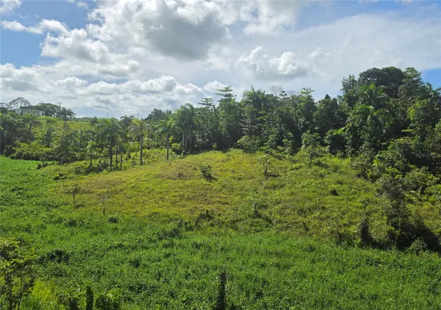 Photo 2 of Single family home for sale at Pr 900 Bo Guayabota, Yabucoa, PR 00767 | MLS# PR9123649 | Listing updated on 2026-08-31