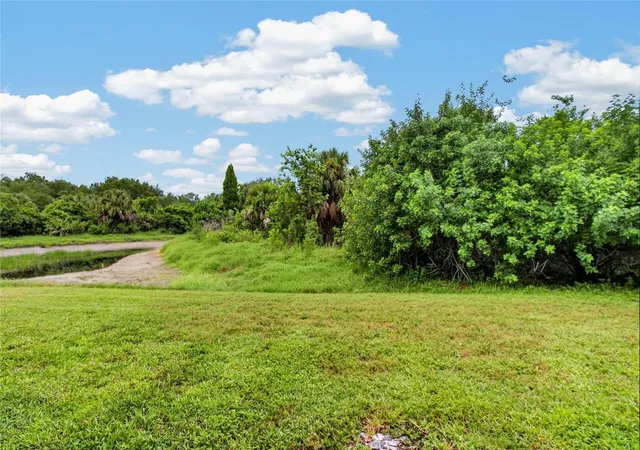 45th image of 6236 Olivedale Dr, Riverview, FL 33578 | MLS# TB8541980