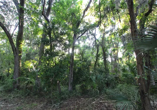 39th image of Tbd Cr 526, Sumterville, FL 33585 | MLS# G5116919