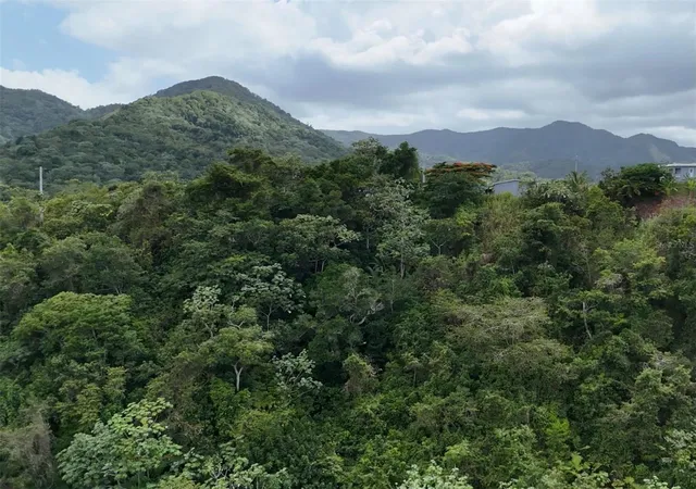 Photo 2 of Single family home for sale at 131 Guilarte, Adjuntas, PR 00601 | MLS# PR9123670 | Listing updated on 2026-08-26