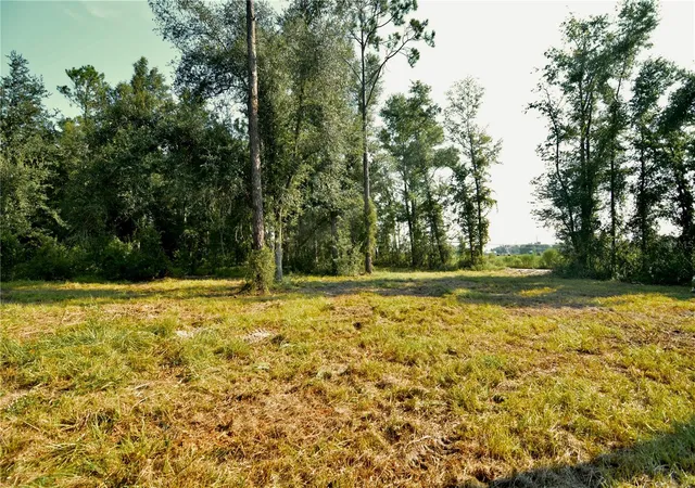 Photo 2 of Land for sale at 00 Sw 39th Ave, Jasper, FL 32052 | MLS# OM731021 | Listing updated on 2026-08-26