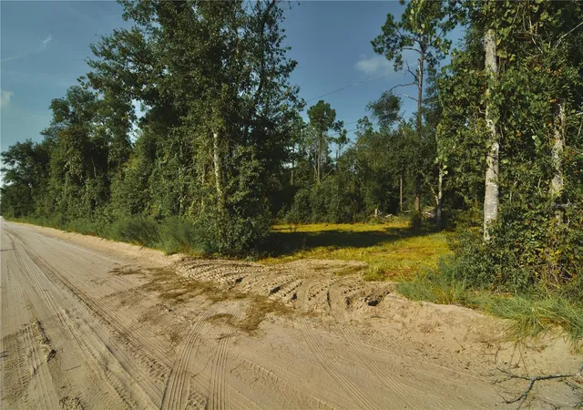 Photo 3 of Land for sale at 00 Sw 39Th Ave, Jasper, FL 32052 | MLS# OM731021 | Listing updated on 2026-08-26