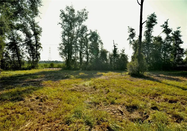 Photo 4 of Land for sale at 00 Sw 39Th Ave, Jasper, FL 32052 | MLS# OM731021 | Listing updated on 2026-08-26