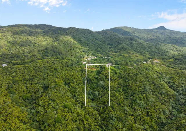Photo 1 of Multi family home for sale at Carr 149 Finca Villa Azul, Juana Diaz, PR 00795 | MLS# PR9123682 | Listing updated on 2026-08-27
