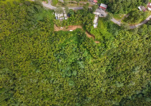 Photo 4 of House for sale at Carr 149 Finca Villa Azul, Juana Diaz, PR 00795 | MLS# PR9123682 | Listing updated on 2026-10-27
