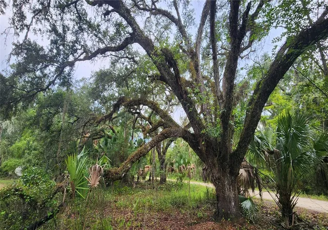 Photo 1 of Land for sale at 7096 E Channel Dr, Hernando, FL 34442 | MLS# OM731032 | Listing updated on 2026-09-02