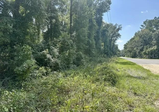 Photo 2 of Land for sale at Ne 597th St, Old Town, FL 32680 | MLS# GC542994 | Listing updated on 2026-08-26
