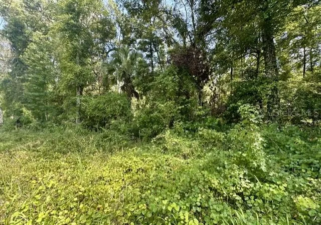 Photo 3 of Land for sale at Ne 597Th St, Old Town, FL 32680 | MLS# GC542994 | Listing updated on 2026-08-26