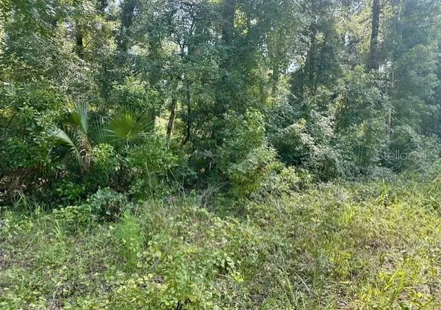 Photo 4 of Land for sale at Ne 597Th St, Old Town, FL 32680 | MLS# GC542994 | Listing updated on 2026-08-26