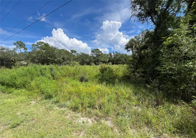 Photo 2 of Land for sale at 12362 W Riverwood Dr, Crystal River, FL 34428 | MLS# TB8542306 | Listing updated on 2026-09-01