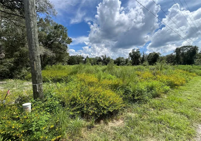 Photo 3 of Land for sale at 12362 W Riverwood Dr, Crystal River, FL 34428 | MLS# TB8542306 | Listing updated on 2026-09-01