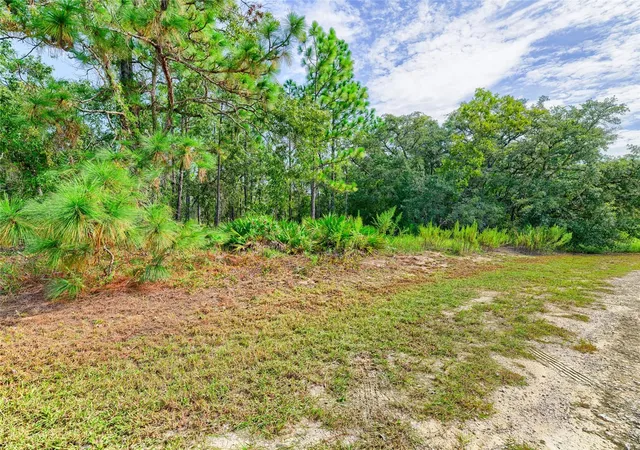 Photo 19 of Land for sale at 13233 English Fir Ct, Weeki Wachee, FL 34614 | MLS# TB8542320 | Listing updated on 2026-08-27