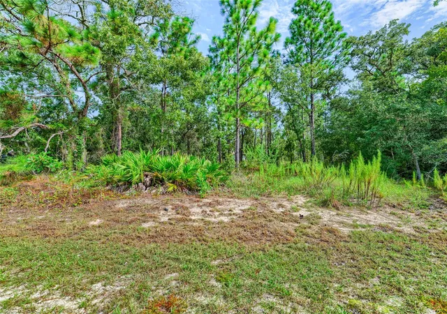 Photo 3 of Land for sale at 13233 English Fir Ct, Weeki Wachee, FL 34614 | MLS# TB8542320 | Listing updated on 2026-08-27