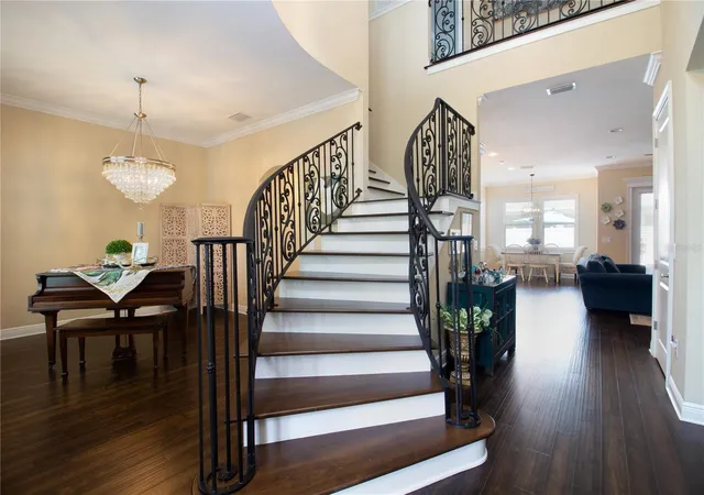 Photo 3 of Single family home for sale at 3917 W San Luis St, Tampa, FL 33629 | MLS# TB8542333 | Listing updated on 2026-10-07
