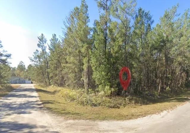 1st image of Fisher Run Ter, Ocklawaha, FL 32179 | MLS# TB8542422