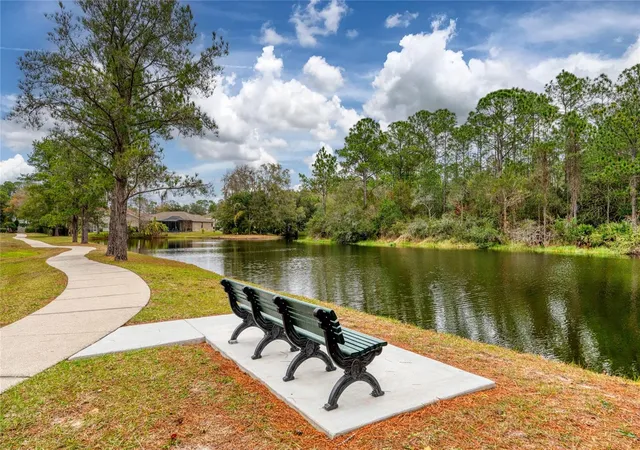 Photo 42 of Single family home for sale at 16306 Wild Mallard Dr, ODESSA, FL 33556 | MLS# TB8542430 | Listing updated on 2026-10-07