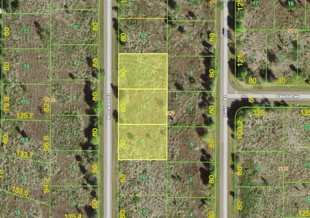 Photo 1 of Land for sale at 238, 246 & 254 Morales St, Port Charlotte, FL 33953 | MLS# N6145488 | Listing updated on 2026-08-26