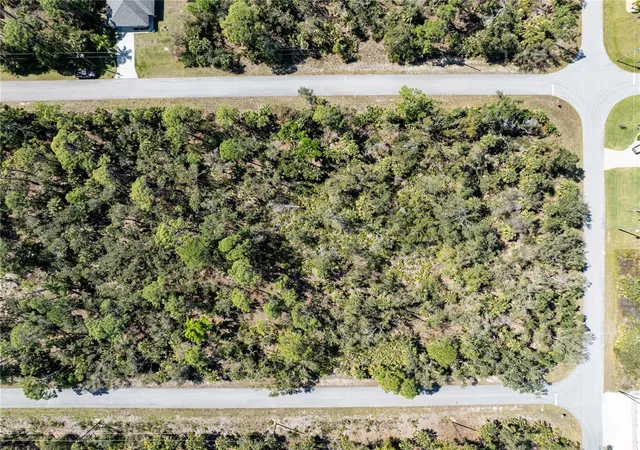 Photo 11 of Land for sale at 231 & 239 Krieger St, Port Charlotte, FL 33953 | MLS# N6145489 | Listing updated on 2026-08-26