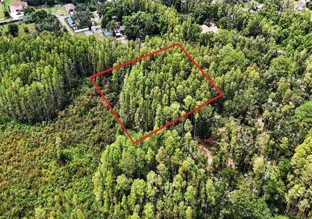 Photo 2 of Land for sale at 0 2nd Ave Ne, Lutz, FL 33549 | MLS# TB8542608 | Listing updated on 2026-10-09